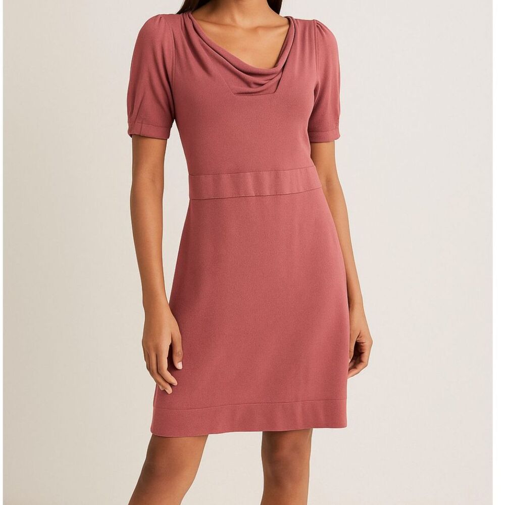 Banana Republic Blush Wool Blend Knit Dress XS Petite